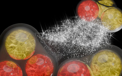 Physikalisches Kolloquium am 19. Mai: STRONG INTERACTION AMONG HADRONS & CONNECTIONS TO ASTROPHYSICS