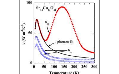 ABGESAGT: Physikalisches Kolloquium am 27.11.2023: „Transport and Scattering in Exotic Quantum Matter“