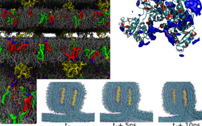 Physikalisches Kolloquium am 27.05.2024: Probing The Nano-Bio Interface with Computational Tools