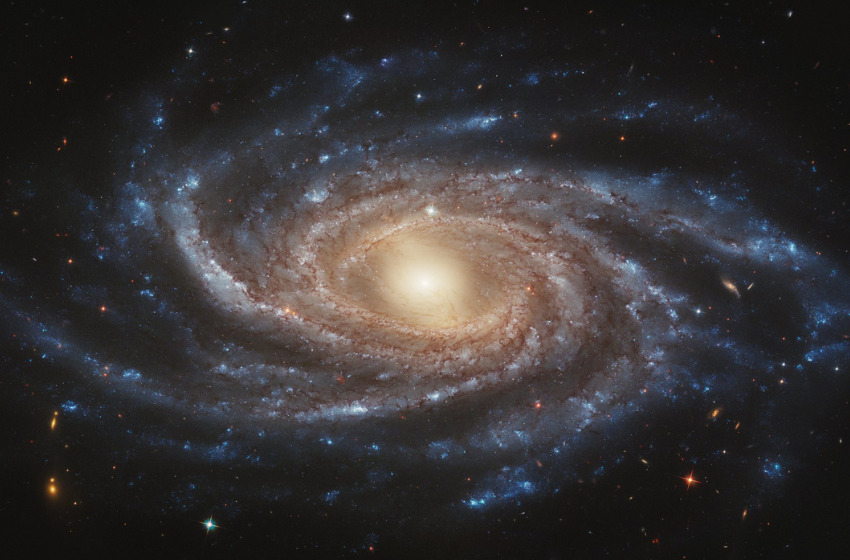 Recent observations revealing the many-armed, beautiful spiral galaxy NGC 2336 as only Hubble can. The imagery used to create this image was taken in January 2020. Meanwhile, the Chandra X-ray Observatory is also tasked with looking at this galaxy, though I haven't looked into the details of that, yet.</p>
<p>Edit: Checked on CXO observations, and so far none yet, but I did notice that of the proposed 200 kilosecond time, they only gave Dr. Antoniou 50 ks. Ouch! Here's hoping that's enough.</p>
<p>Data from the following proposal was used to create this image:</p>
<p>Determining How X-ray Binary Populations Vary Through Time</p>
<p>Note there are a number of blank areas in the image where data were absent. I filled those with background-matched noise to make them visually unobtrusive. Some other areas also lack a full range of color, being only covered by 1-2 filters.</p>
<p>The pixel scale is 0.05 arcseconds per pixel.</p>
<p>Red: ACS/WFC F814W</p>
<p>Green: ACS/WFC F555W</p>
<p>Blue: ACS/WFC F435W</p>
<p>North is exactly to the right.