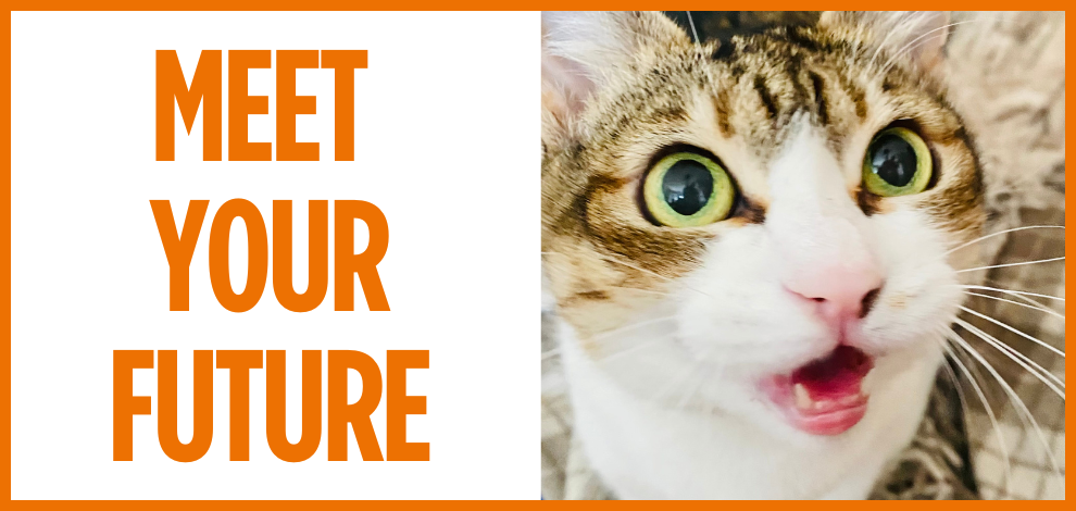 What is MEET YOUR FUTURE