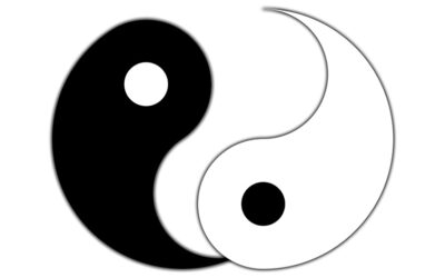 Physikalisches Kolloquium am 2. Februar: (Non-)invertible symmetry and spontaneous duality breaking